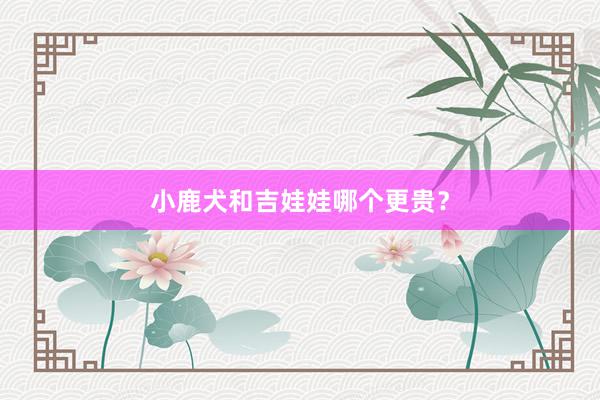 小鹿犬和吉娃娃哪个更贵？